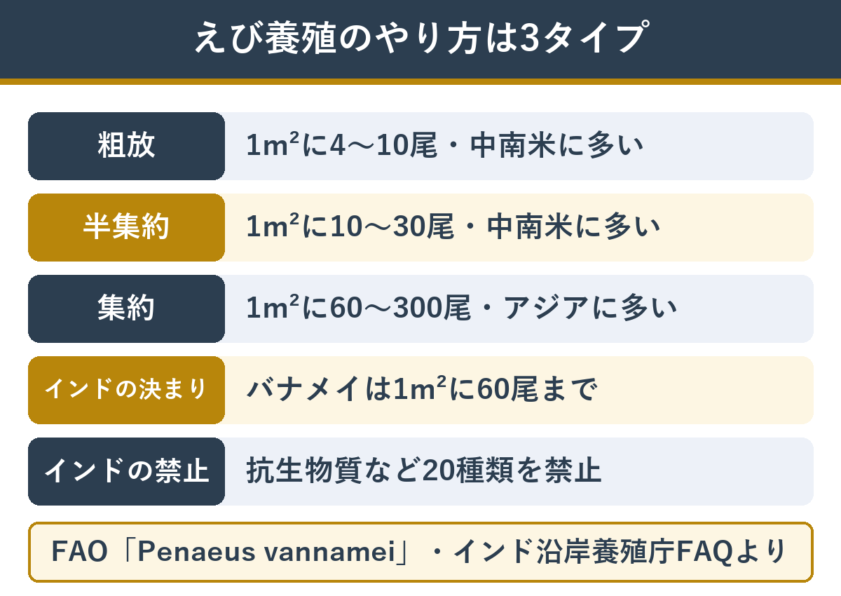えびの養殖方式 粗放・半集約・集約の違い