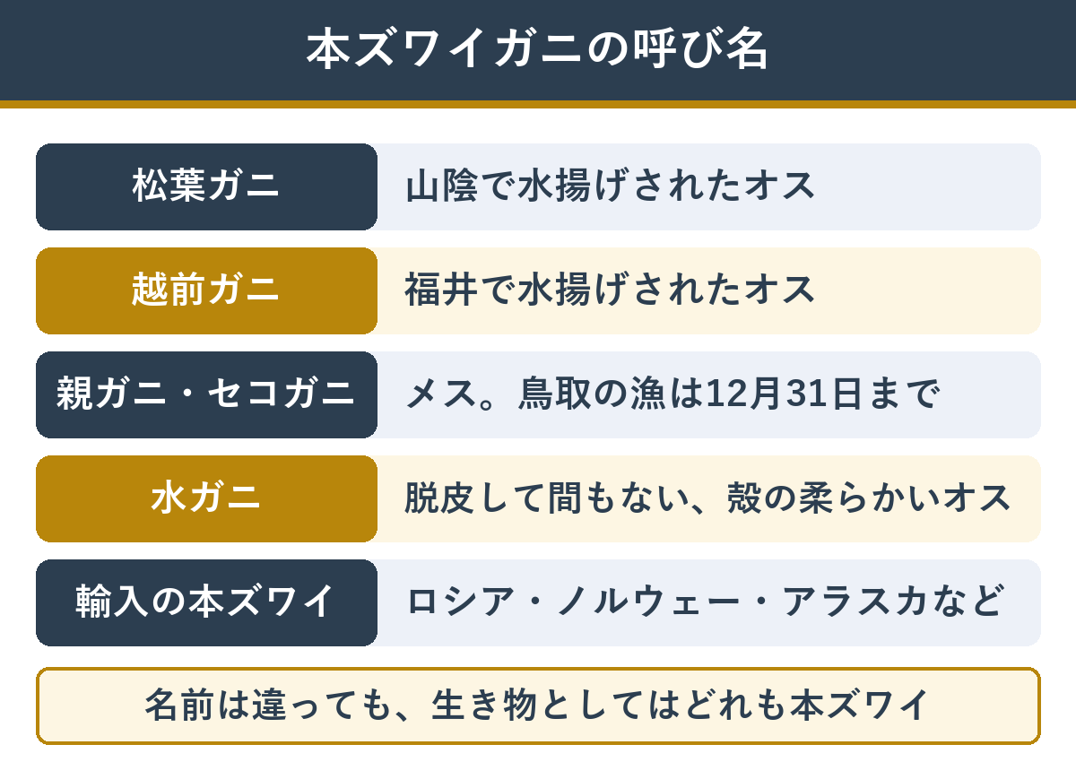 本ズワイガニの呼び名