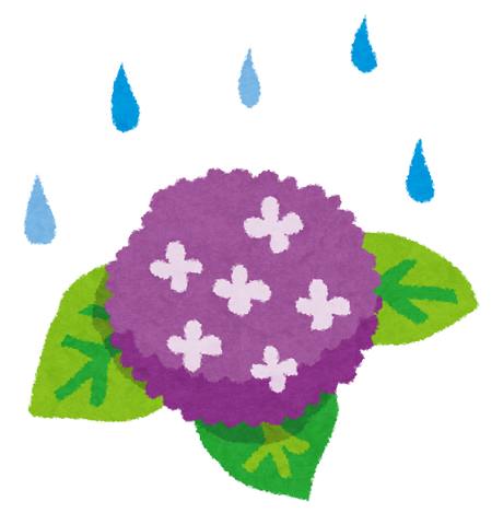 雨に濡れる紫陽花のイラスト