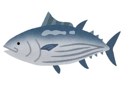 カツオ（魚）のイラスト