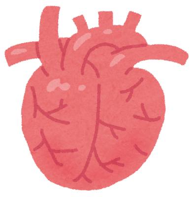 心臓のイラスト