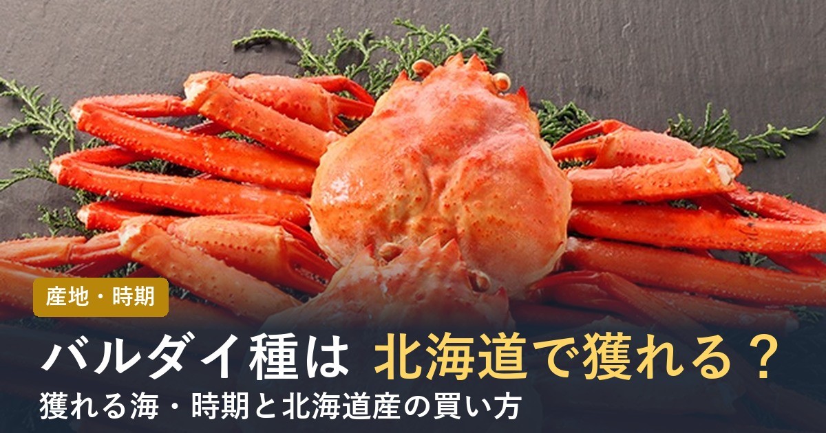 バルダイ種は北海道で獲れる？【2026年】産地・時期と北海道産の買い方