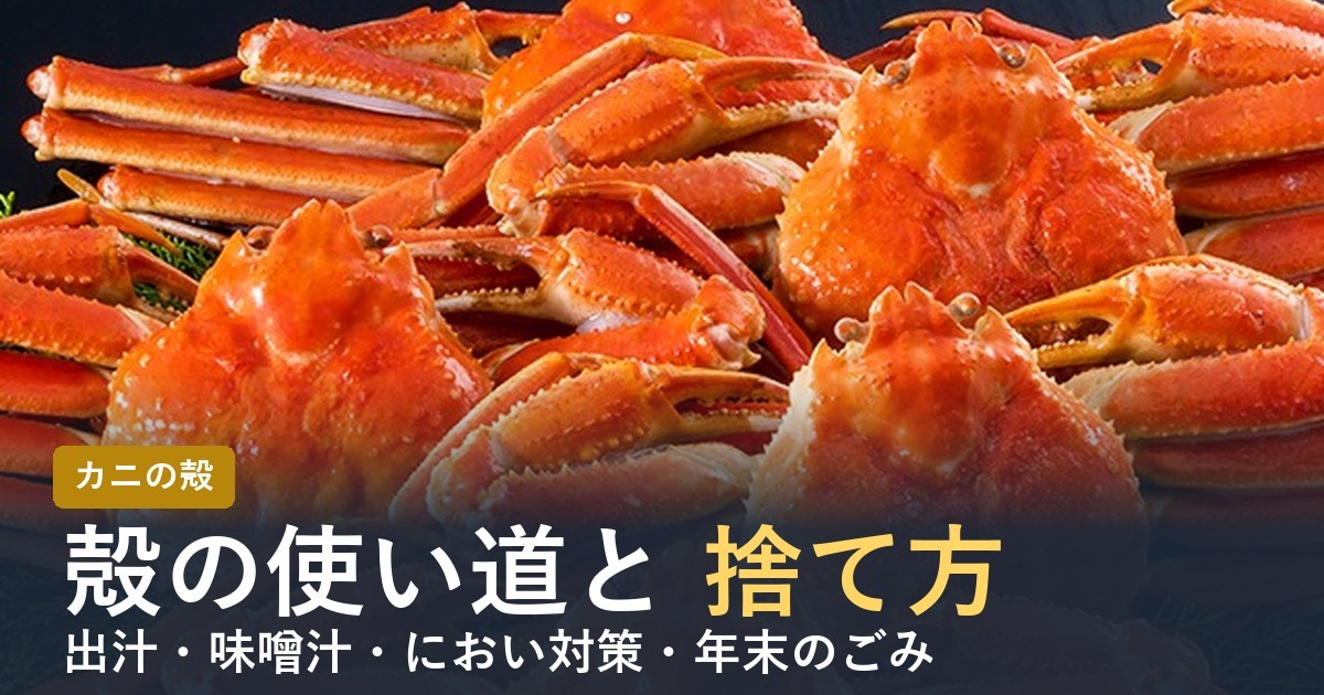 カニの殻の使い道【2026年】出汁・味噌汁と年末の捨て方・におい対策