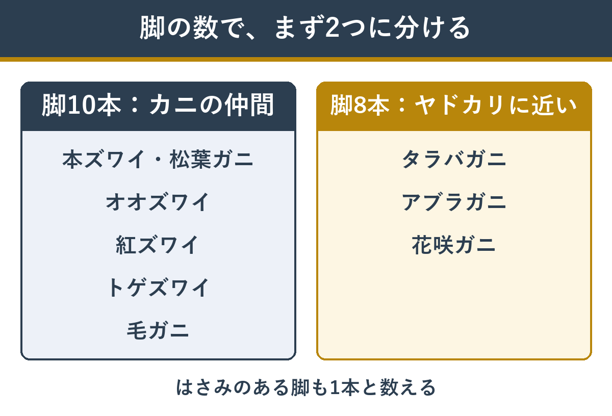 カニを脚10本のカニの仲間と脚8本のヤドカリに近い仲間に分けた図