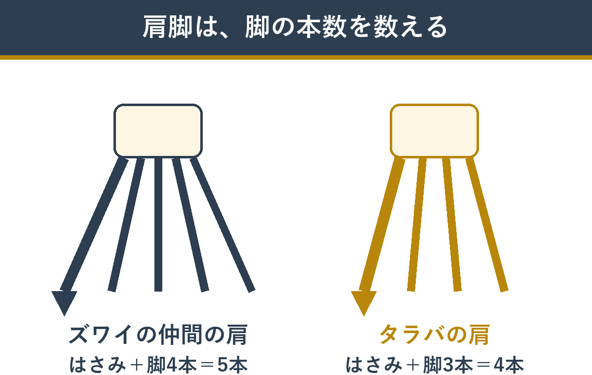 ズワイの仲間の肩は脚5本、タラバの肩は脚4本であることを示した図