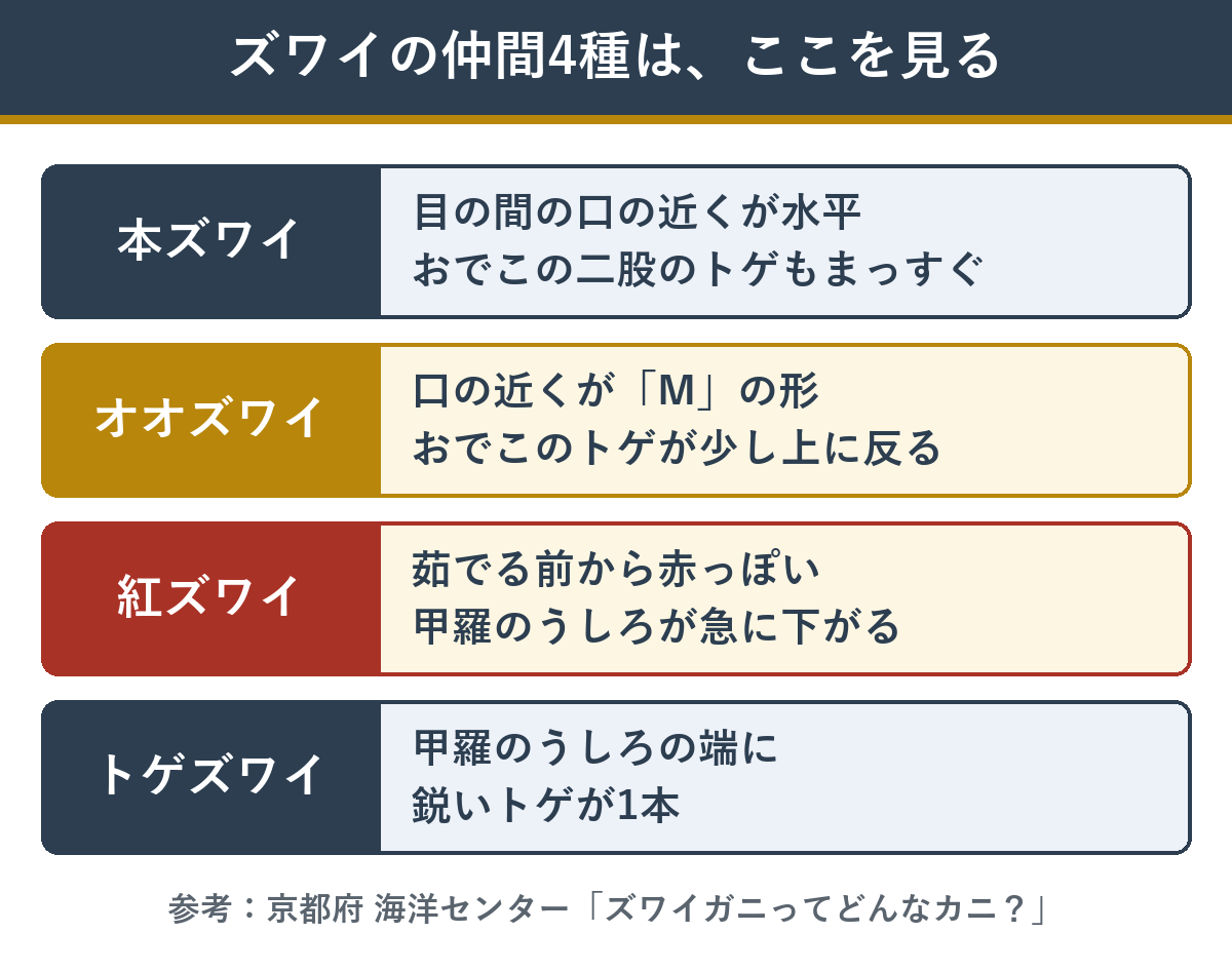 本ズワイ・オオズワイ・紅ズワイ・トゲズワイを見分けるときに見る所をまとめた図