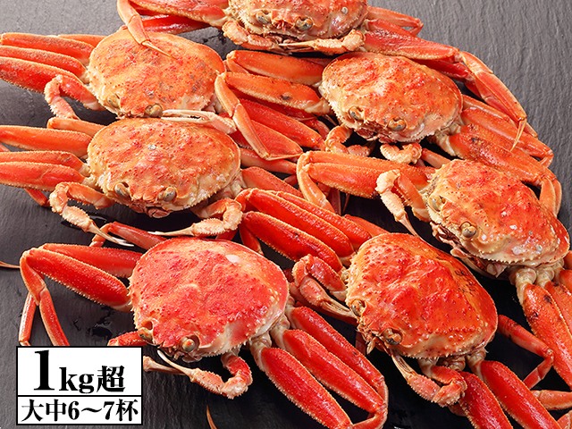 浜茹でセコガニ（松葉ガニのメス）大中6〜7杯