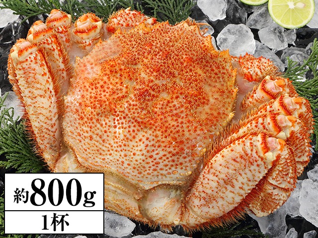 北海道浜茹で毛がに姿1杯 約800g