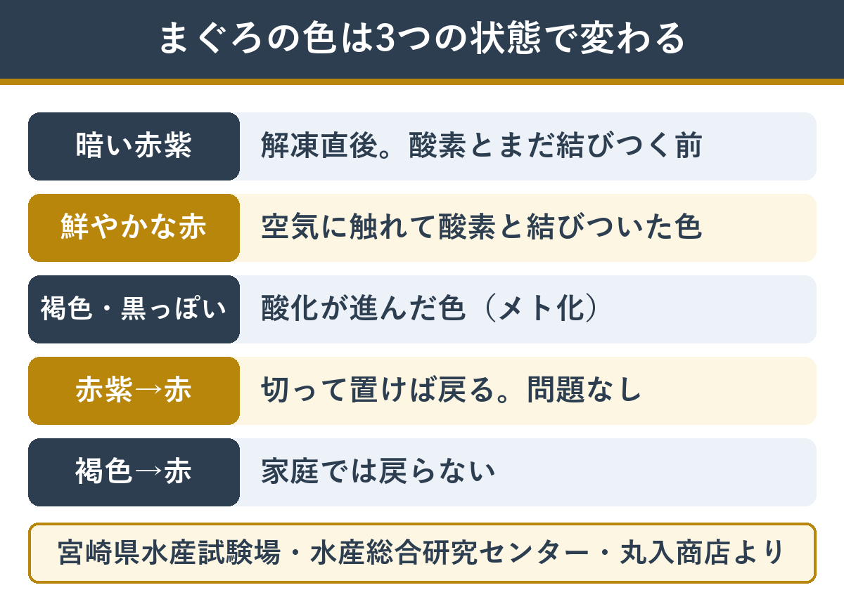 まぐろの色が変わる仕組み 赤・暗い赤紫・褐色
