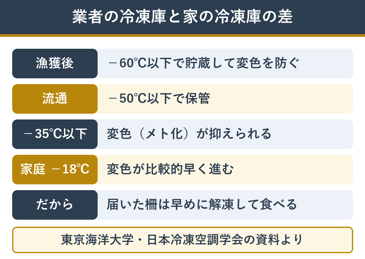 冷凍まぐろの保存温度 業者の超低温と家庭の冷凍庫