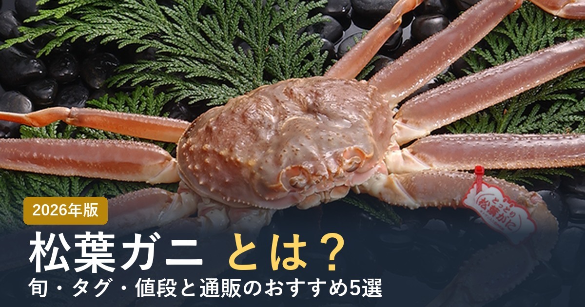 松葉ガニとは？ 2026年版