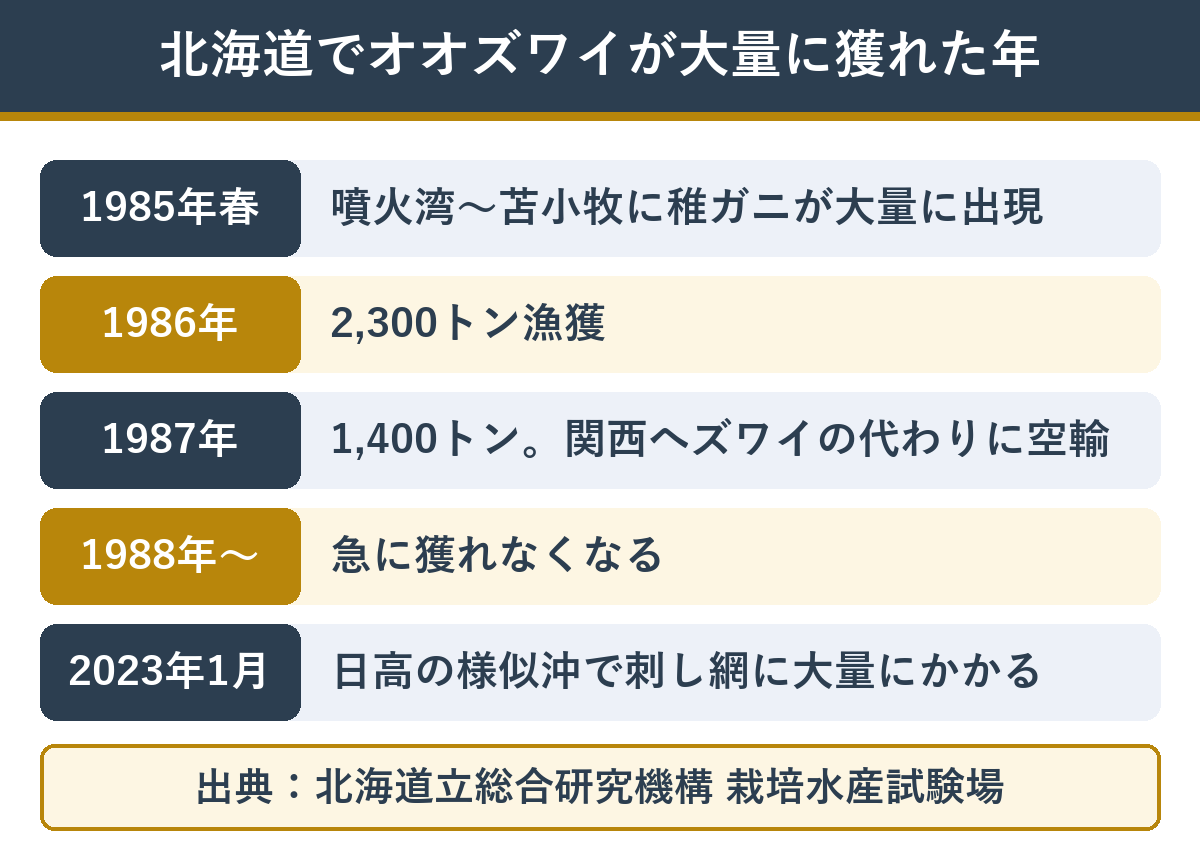 北海道でオオズワイが大量に獲れた年