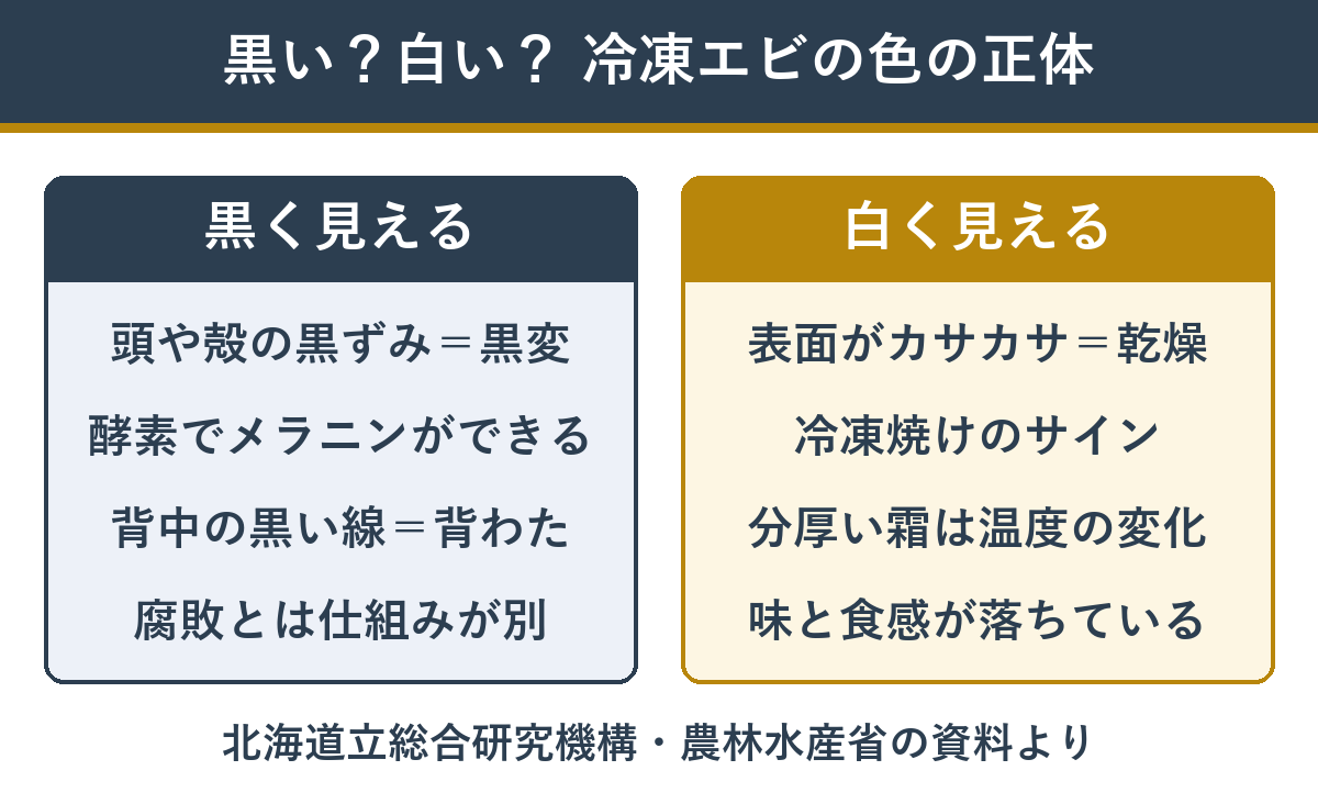 冷凍エビの黒い部分と白い部分の正体