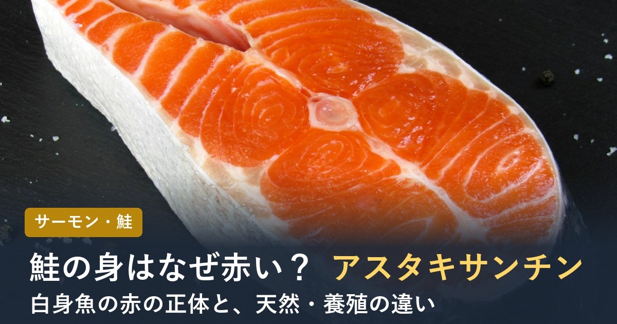 鮭のアスタキサンチンとは？【2026年】身が赤い理由と種類別の色・栄養