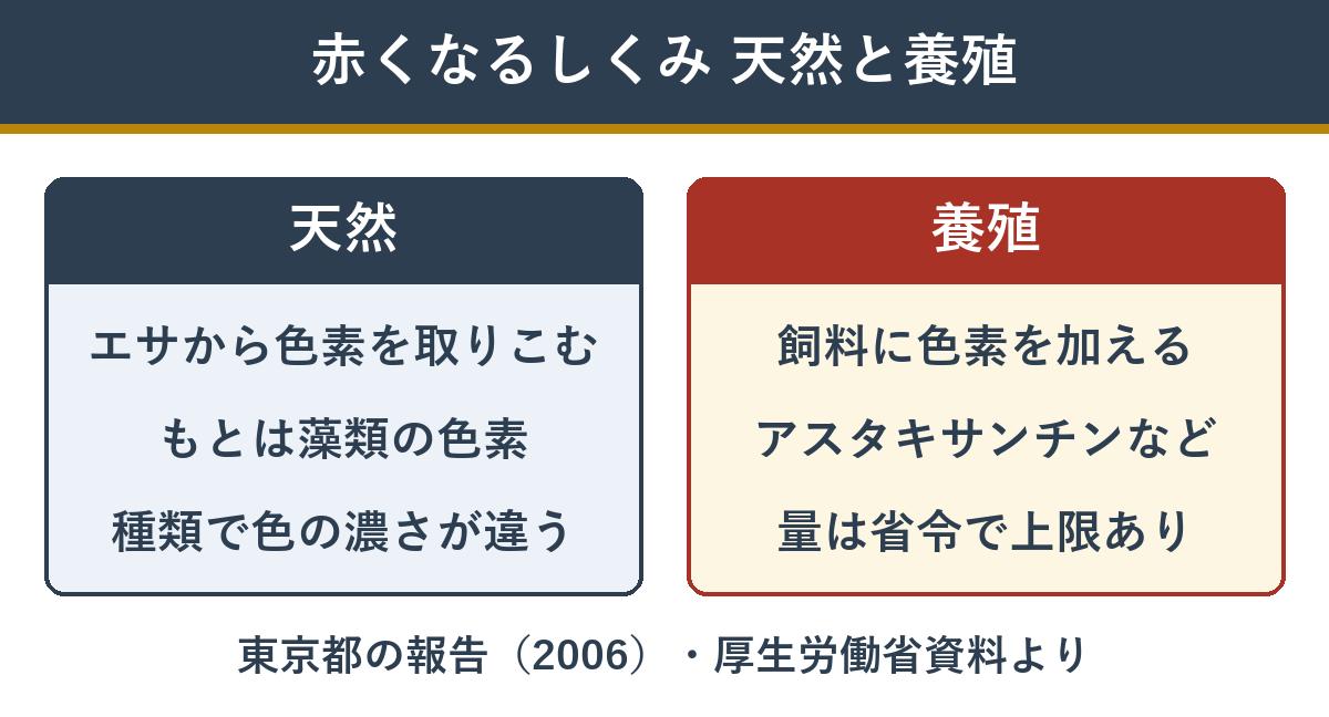 天然の鮭と養殖サーモンが赤くなるしくみの違い