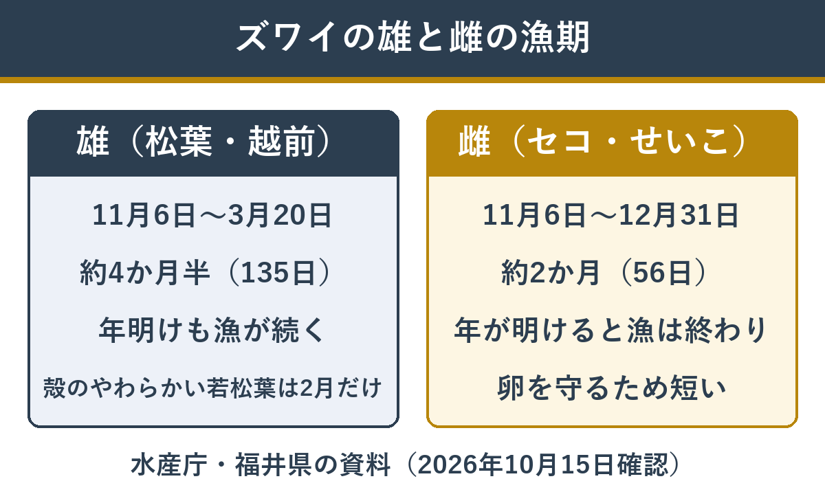 ズワイガニの雄と雌の漁期の違い