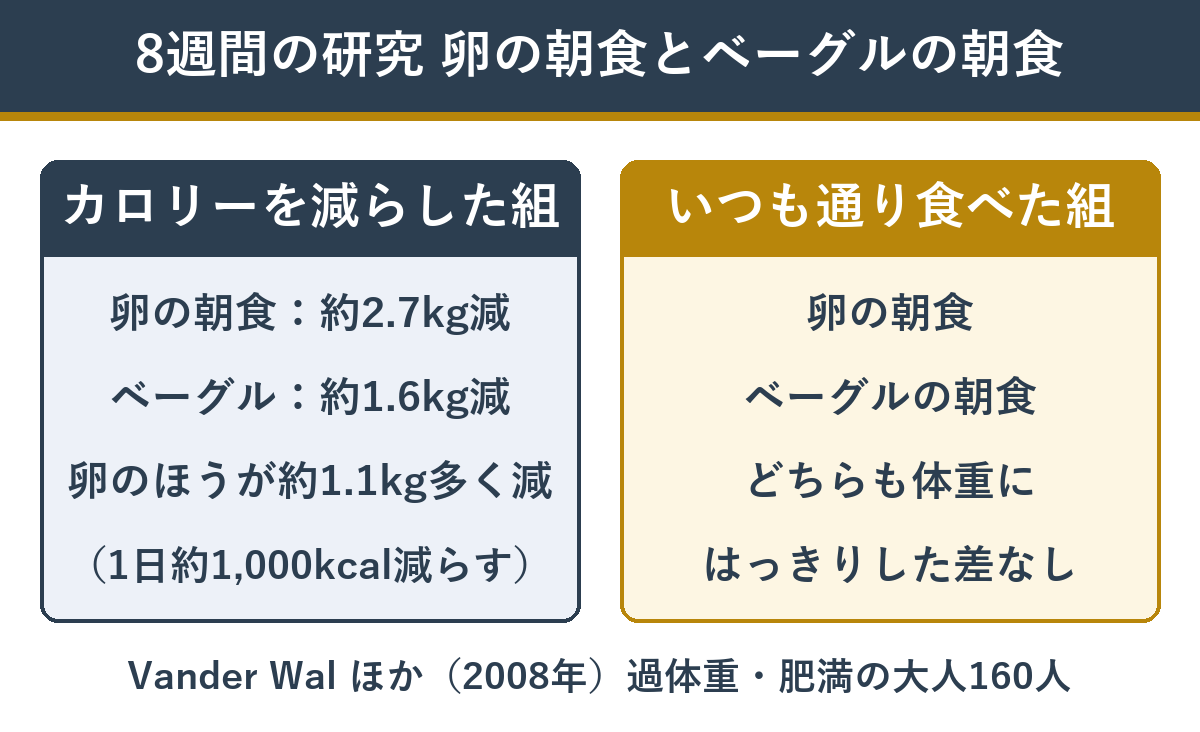 卵の朝食とベーグルの朝食 8週間の体重の変化